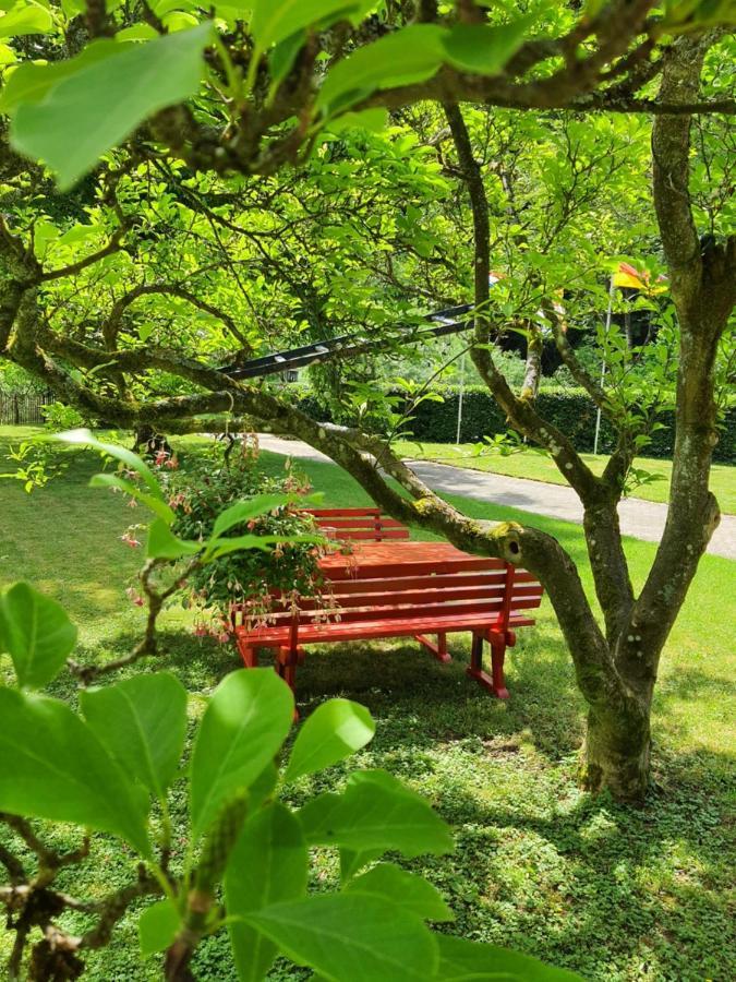 B&B Am Sahrbach Altenahr Buitenkant foto